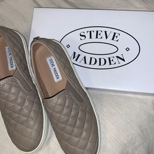 Steve Madden Ecentrcq Grey Sneaker